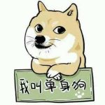 叮当猫的头像-钟袅科技网