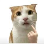 忌口哦的头像-玲鸟资源网-玲鸟网络官方社区